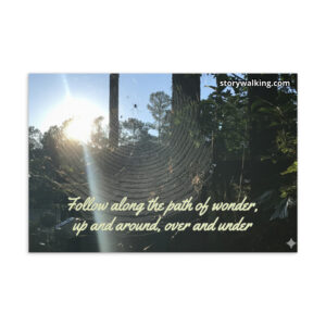 Story Walking Postcard - Spider Web