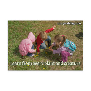 Story Walking Postcard - Children with Dandelions