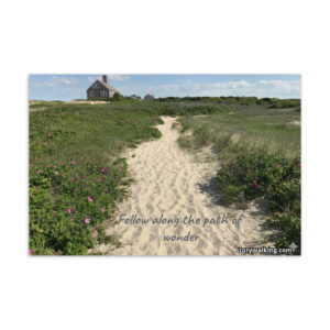 Story Walking Postcard - For Beach Lovers
