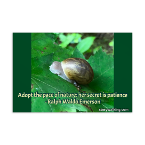 Story Walking Postcard – Snail