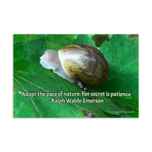 Story Walking Postcard – Snail